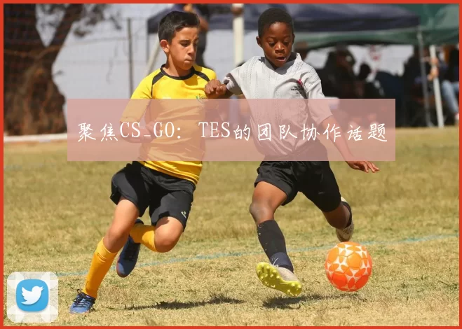 聚焦CS_GO：TES的团队协作话题