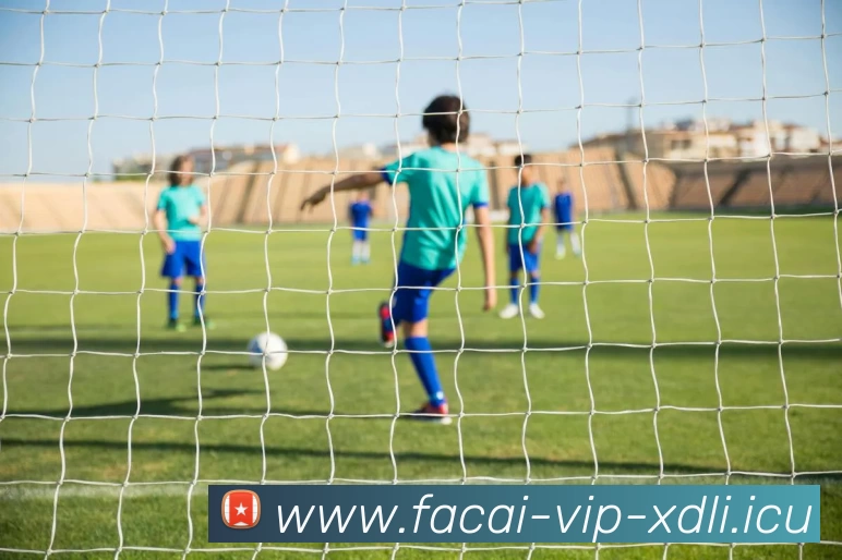 爱游戏体育平台生态图