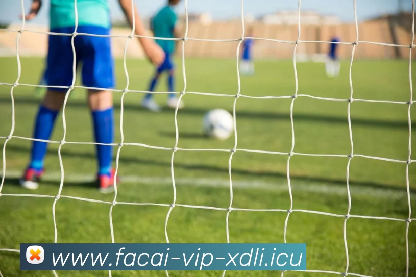 爱游戏体育全站App